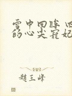 雪中回眸 四爷的心尖宠妃