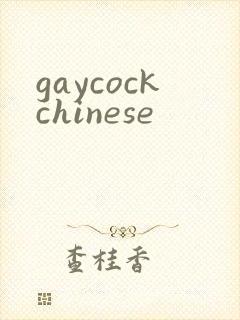 gaycockchinese