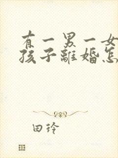 有一男一女两个孩子离婚怎么判定