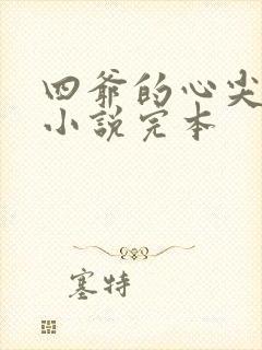 四爷的心尖宠妃小说完本