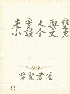 老实人与双胞胎小说全文免费阅读封面