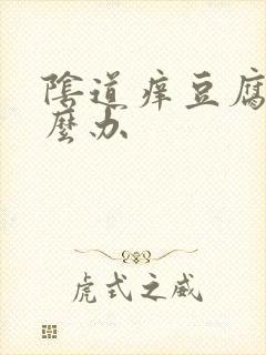 阴道痒豆腐渣怎么办封面