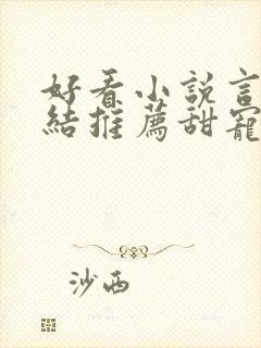 好看小说言情完结推荐甜宠文封面