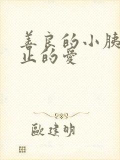 善良的小胰子禁止的爱