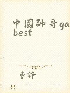 中国帅哥gay best