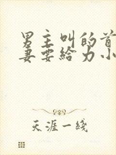 男主叫的首席追妻要给力小说