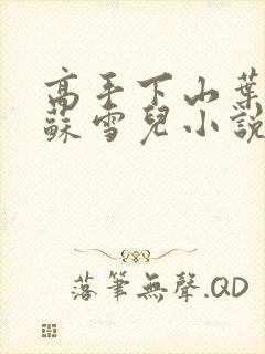 高手下山叶君临苏雪儿小说下载