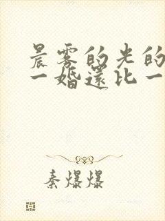 晨雾的光的小说一婚还比一婚高