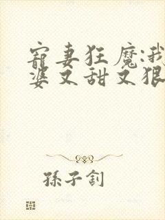 宠妻狂魔:我老婆又甜又狠