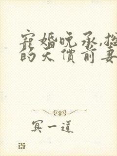 宠婚晚承,总裁的天价前妻