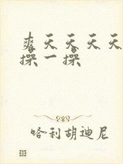 爽天天天天天天操一操