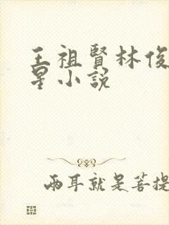 王祖贤林俊逸明星小说封面