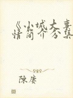 《小城大事》剧情简介分集