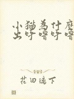 小猫为什么会发出呼噜呼噜的声音