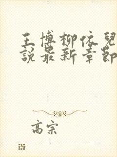 王博柳依儿的小说最新章节在线阅读