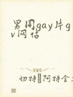 男同gay片gv网站封面