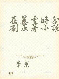 在暴雪时分电视剧原著小说