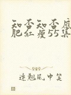 知否知否应是绿肥红瘦55集