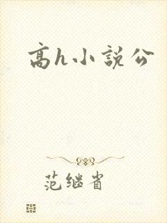 高h小说公