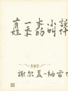 有一本小说主角姓季的叫什么