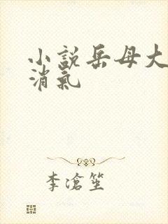 小说岳母大人消消气