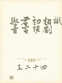 与君初相识免费看电视剧