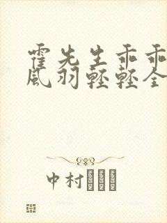 霍先生乖乖宠我风羽轻轻全免费的小说