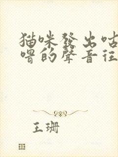 猫咪发出咕噜咕噜的声音往你身上蹭