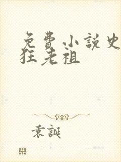 免费小说史上最狂老祖