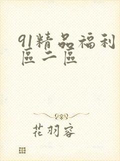 91精品福利一区二区封面