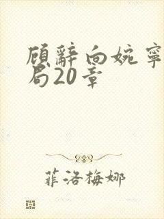 顾辞向婉宁大结局20章