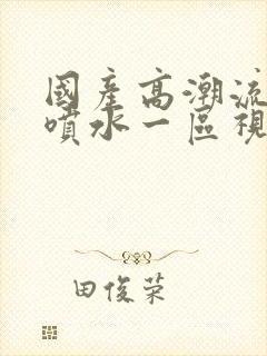 国产高潮流白浆喷水一区视频