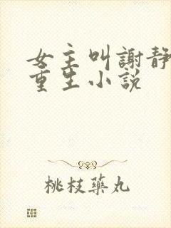 女主叫谢静姝的重生小说