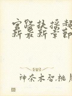 官路扶摇超前更新最新章节免费阅读