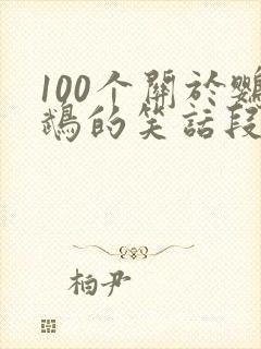 100个关于鹦鹉的笑话段子1