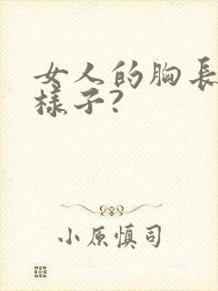 女人的胸长什么样子?