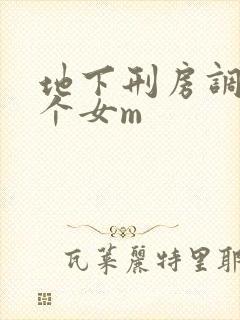 地下刑房调教两个女m