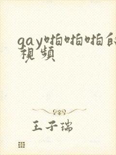 gay啪啪啪的视频