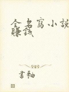 全名写小说怎么赚钱封面