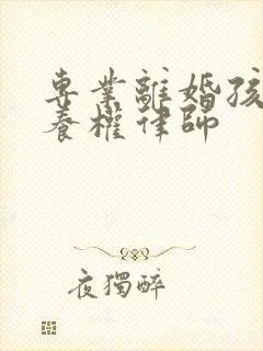 专业离婚孩子抚养权律师