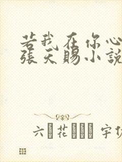 若我在你心尖上张天赐小说阅读