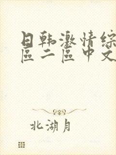 日韩激情综合一区二区中文字幕