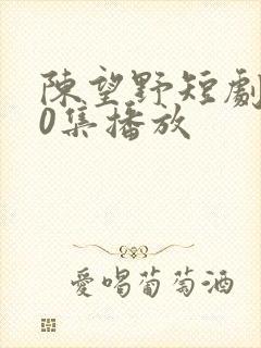 陈望野短剧第90集播放