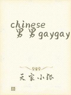 chinese 男男gaygay 网站