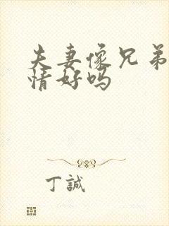 夫妻像兄弟的感情好吗