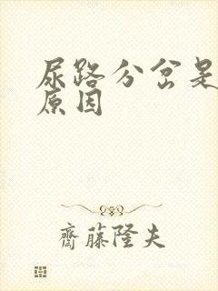 尿路分岔是什么原因