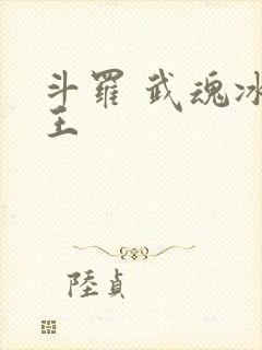 斗罗 武魂冰龙王