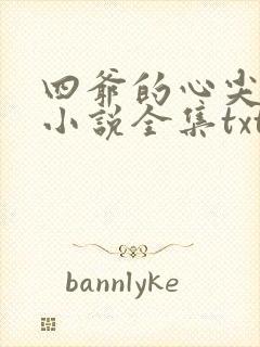 四爷的心尖宠妃小说全集txt封面