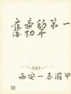 夜帝的第一狂妃落初年