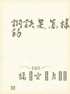 钢铁是怎样练成的封面